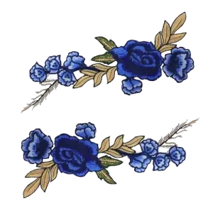 Blue Patch