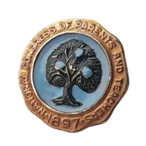 Congressional Lapel Pin